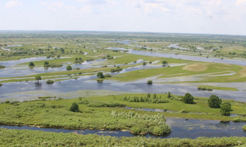 Национальный парк Припятский в Минске